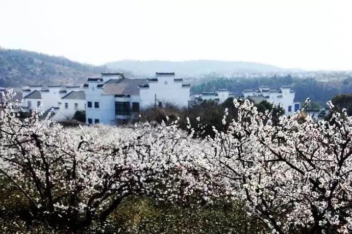 婚姻。只要他给足够多的钱养你，你不在乎他有多少小三。是吗？？游戏画面