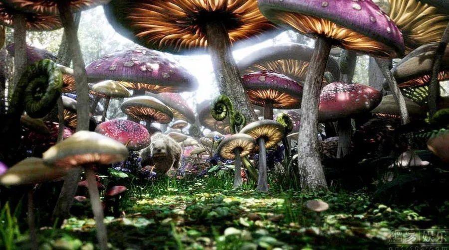 逗小猴开心系列196